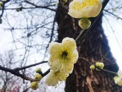 -木塔寺遗址生态公园
