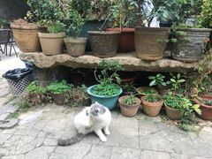 -老屋咖啡
