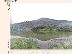 -风云岭森林公园