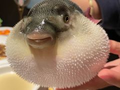 -肆月河豚·淮扬菜·湘菜(华天店)