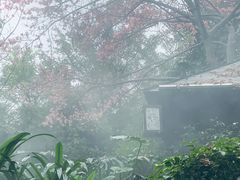 -嘉和K6温泉微度假