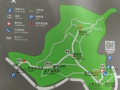 -上海佘山国家森林公园天马山园