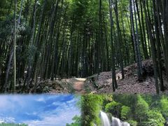 -蜀南竹海景区