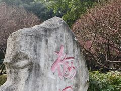 -重庆彩云湖湿地公园