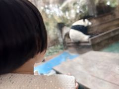 -成都动物园