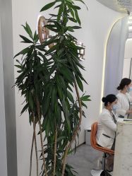-杭州奥拉克医疗美容门诊部