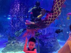 -沈阳海洋探索中心