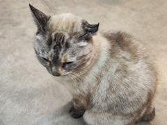 -お食事処 山賀