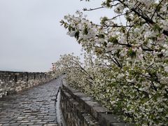 -南京城墙景区