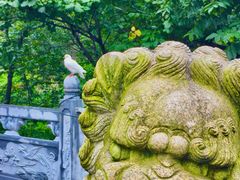 -丹东凤凰山景区