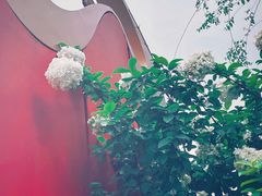 -大龙山(地铁站)