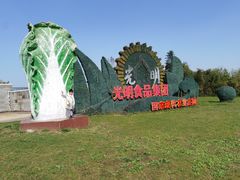-上海都市菜园