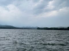 -浙江西子宾馆·牡丹厅
