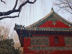 -趵突泉景区