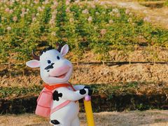 -盈香心动乐园