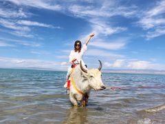 -青海湖国家重点风景名胜区