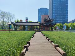 -证大喜玛拉雅中心