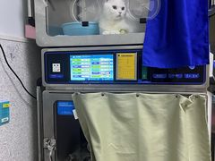 -谐和贝康宠物医院24小时·宠保定点(急重症转诊中心)