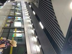 -上海动物园(地铁站)