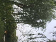 -韩湘水博园