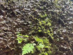 -七仙岭温泉国家森林公园