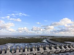 -南汇嘴观海公园