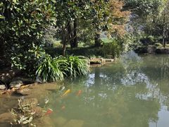-中国茶叶博物馆(双峰馆区)