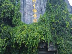 -云南野生动物园