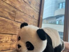-莺花渡火锅City Green(万象城店)