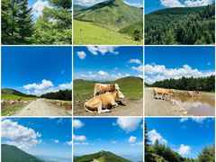 -五台山风景区