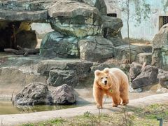 -宁波野生动物园