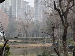 -木塔寺遗址生态公园