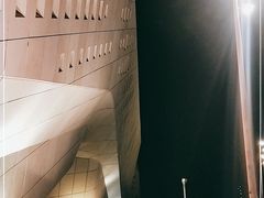 -南京国际青年文化中心