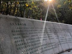 -八大关景区