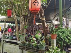 -阿巧茶庄