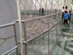 -陕西自然博物馆