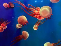 -成都浩海立方海洋公园