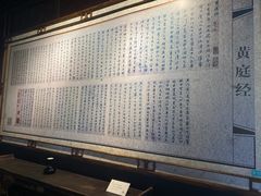 -八大山人梅湖景区