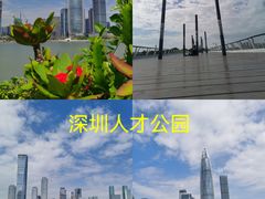 -深圳人才公园