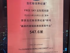 -平安金融中心云际观光层