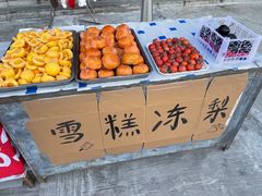 -北极村旅游风景区