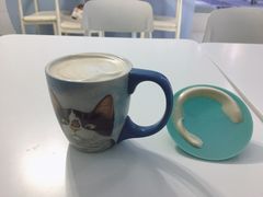 -喵的天空名猫咖啡馆·撸猫·猫舍·用品