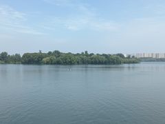 -丁香湖公园