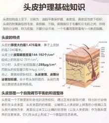 -Bollins波林丝•专研护发中心