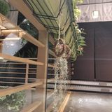 姑苏二十四集
