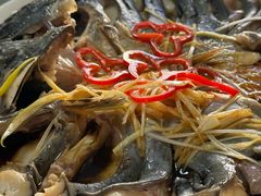 -煲来饱去冷水鱼