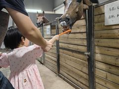 -李振强马术运动推广中心(南城店)