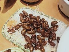 -鸽子窝(宋庄店)