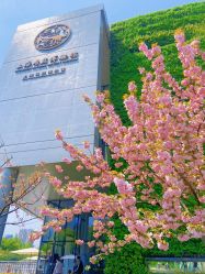 -WAVE SODA摄影工作室