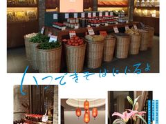 -瑶王府·广西菜(金阳路店)